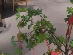 -YAFEE雅菲·粤菜·湘菜·融合菜(魏公村店)