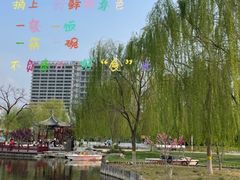 -西海子公园