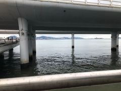 -演武大桥观景平台