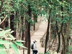 -滴水岩森林公园