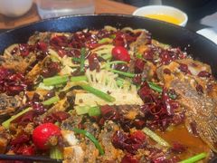 -老板恋上鱼(恒隆广场店)