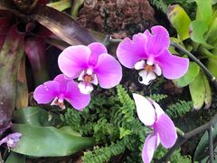 -国家植物园南园