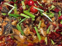 -老板恋上鱼(恒隆广场店)