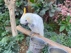 -南宫五洲植物乐园