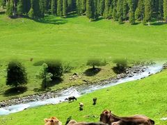 -新疆那拉提国家旅游度假区
