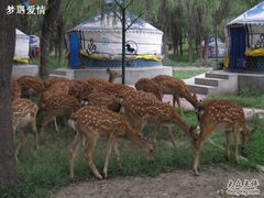 -赛汗塔拉风情园