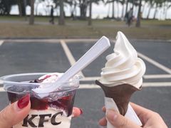 -深圳湾公园(南山区)
