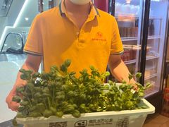 -东椰·海南椰子鸡火锅(朝阳门店)