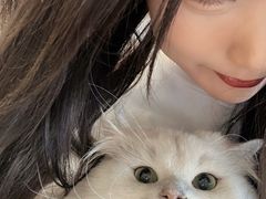-猫在这儿猫咪咖啡馆·撸猫馆