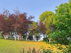 -金海湾滨江公园