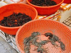 -青石桥市场北1-27号