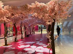 -宝龙广场(蓬莱区)