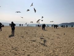 -海云台海滩