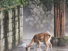 -成都动物园