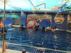 -戊辰亲子游泳俱乐部