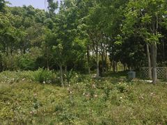 -昆山城市生态森林公园