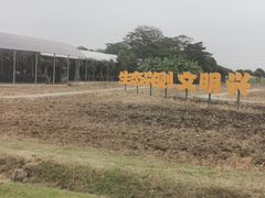 -迪茵湖田家舍生态农场