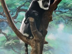 -石家庄市动物园