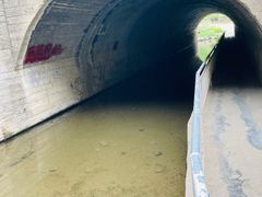 -白水寺森林公园