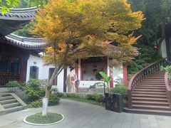 -十八棵（老龙井）御茶园(老龙井店)