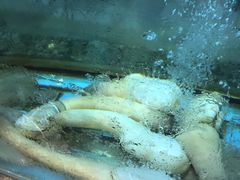 -海逸海鲜酒家(古北店)
