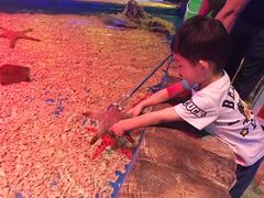 -华夏文旅海洋公园