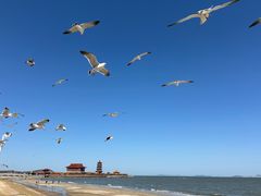 -八仙过海景区