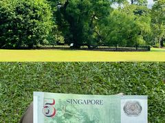 -新加坡植物园