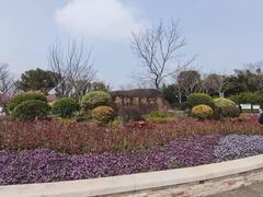 -新江湾城公园