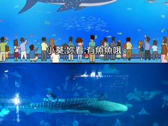 -烟台海昌鲸鲨海洋公园