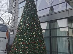 -杭州龙禧福朋喜来登酒店