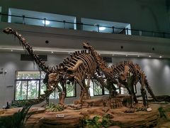 -自贡恐龙博物馆