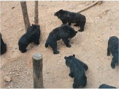 -泉州海丝野生动物世界