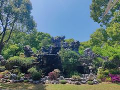 -上海鲜花港