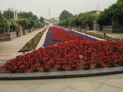 -石家庄市植物园