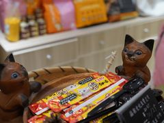 -飞行喵MR PILOT|猫舍·猫咖(静安大融城店)