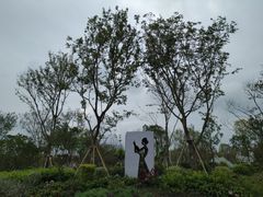 -东平国家森林公园
