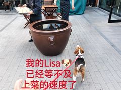 -日本大使馆-新闻文化中心