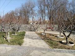 -南长河公园