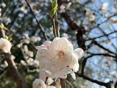 -鹫峰国家森林公园