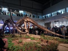 -自贡恐龙博物馆