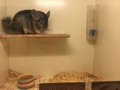 -龙猫仔乐园(惠福东路店)