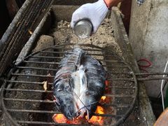 -彭秉兰豆花烤鱼(文化园店)