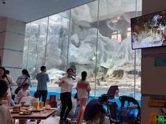 -帝企鹅自助餐厅•儿童岛•真企鹅(长隆企鹅酒店)