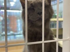 -三旗百汇商品城