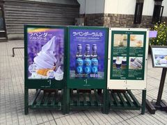 -富田农场
