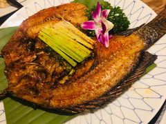 -紫滇源云南生态菜(丹凤街店)