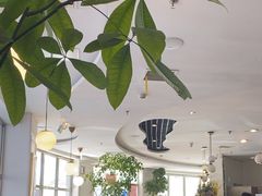 -花舍·新派粤菜·西餐·下午茶(亚运村·鸟巢店)
