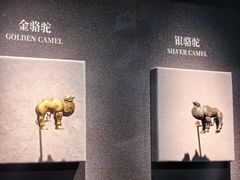-秦始皇帝陵博物院(兵马俑)