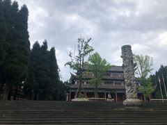 -武陵山森林公园